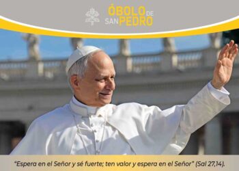La Iglesia celebra el 29 de junio el Óbolo de San Pedro, “Jornada mundial de la caridad del Papa”