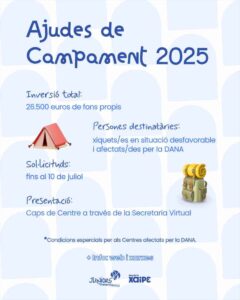 cartel ayudas campamento verano Juniors MD