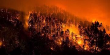 El Obispo y toda la Diócesis de Ourense se solidarizan con los damnificados por los incendios