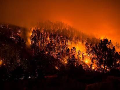 El Obispo y toda la Diócesis de Ourense se solidarizan con los damnificados por los incendios 1 El Obispo y toda la Diócesis de Ourense se solidarizan con los damnificados por los incendios