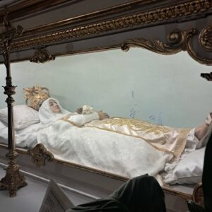 533017631 18045009065638916 945599620674393893 n