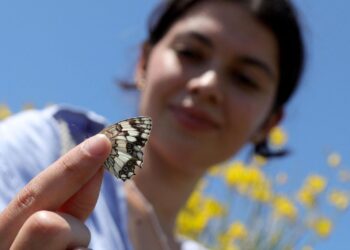 1º de septiembre: Jornada de la Creación en el signo del ecumenismo