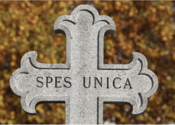 La Exaltación de la Santa Cruz