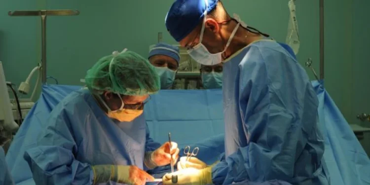 Encuentro-Celebración jubilar de los profesionales sanitarios el próximo sábado 18 de octubre en la Catedral de Sevilla 1 Encuentro-Celebración jubilar de los profesionales sanitarios el próximo sábado 18 de octubre en la Catedral de Sevilla