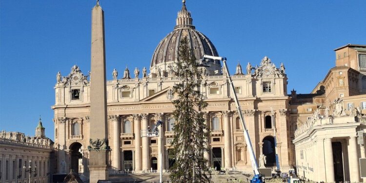 Un árbol y un belén para San Pedro: la unión de Val d’Ultimo, Campania y Costa Rica