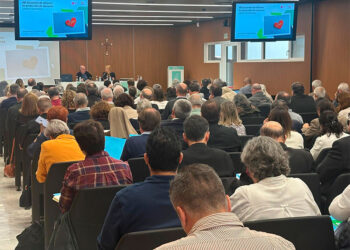 VIII Encuentro para las Oficinas de Protección de Menores