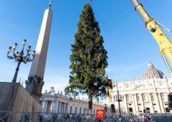 El Vaticano enciende la Navidad: árbol de 25 metros y belén inspirado en San Alfonso se inauguran el 15 de diciembre