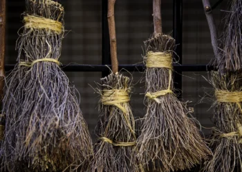 Historia, tradiciones y eventos en la Festividad de los Reyes Magos en Italia