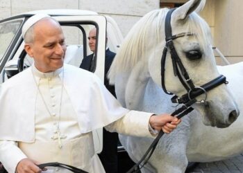 Del Arca a la Paz: El simbolismo animal que marca el magisterio de los Papas