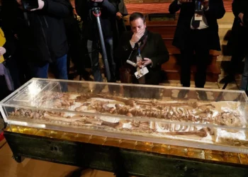 Asís hace historia: los restos de San Francisco se exponen al público 800 años después de su muerte