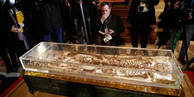 Asís hace historia: los restos de San Francisco se exponen al público 800 años después de su muerte 1 Asís hace historia: los restos de San Francisco se exponen al público 800 años después de su muerte