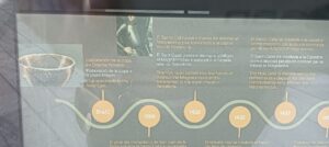 WhatsApp Image 2026 02 20 at 19.55.34 1