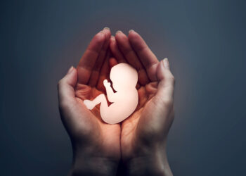 El Consejo de Estado en España avala la reforma para blindar el aborto, pero advierte de "deficiencias" en la vía elegida