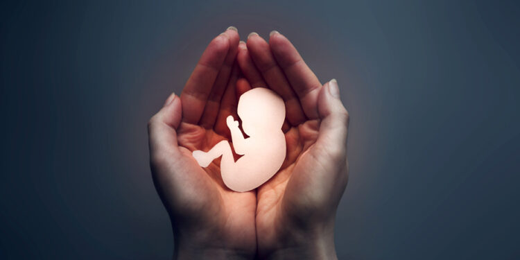 El Consejo de Estado en España avala la reforma para blindar el aborto, pero advierte de "deficiencias" en la vía elegida 1 El Consejo de Estado en España avala la reforma para blindar el aborto, pero advierte de "deficiencias" en la vía elegida