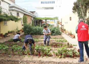 Más de 1141 personas accedieron a un puesto de trabajo en 2025 con el apoyo de Cáritas Valencia