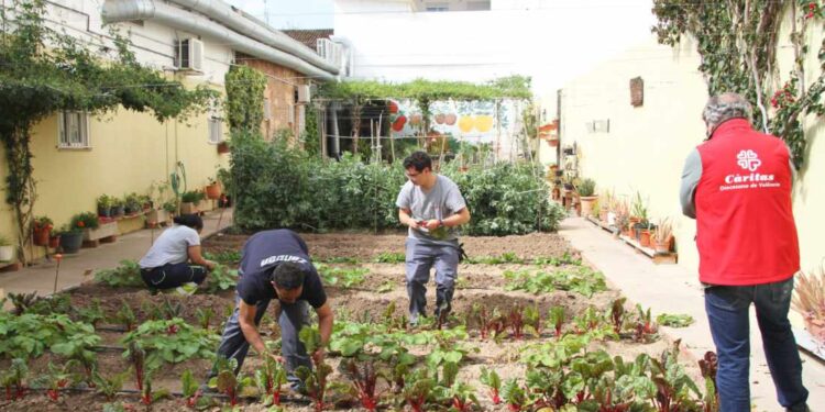 Más de 1141 personas accedieron a un puesto de trabajo en 2025 con el apoyo de Cáritas Valencia