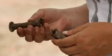 El despertar de Cibalae: Hallan una tumba romana intacta bajo un mercado en Croacia