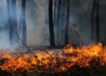 Ola de incendios en España, la Iglesia vuelca sus recursos para atender a los evacuados