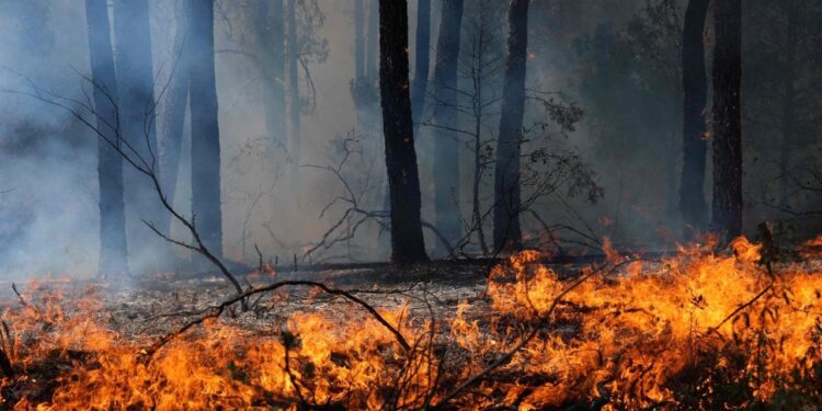 Ola de incendios en España, la Iglesia vuelca sus recursos para atender a los evacuados