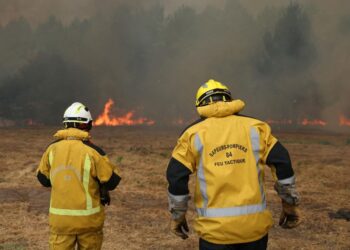León XIV reza por los incendios en España y Francia. Emergencia en Europa