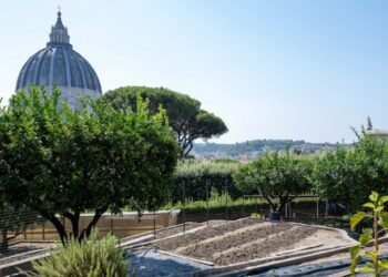Los Jardines Vaticanos transforman su parcela de 800 años de historia en un modelo de sostenibilidad, tradición y fe