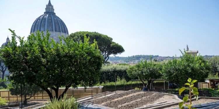 Los Jardines Vaticanos transforman su parcela de 800 años de historia en un modelo de sostenibilidad, tradición y fe