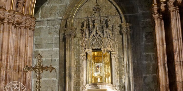 La devoción valenciana se viste de fe: las entidades de la Basílica peregrinan a la Catedral por el Año Jubilar del Santo Cáliz 1 La devoción valenciana se viste de fe: las entidades de la Basílica peregrinan a la Catedral por el Año Jubilar del Santo Cáliz