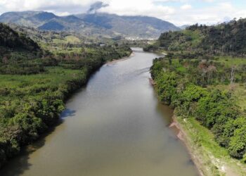 A siete años del Pacto de las Catacumbas: la histórica alianza de la Iglesia para salvar la Amazonía