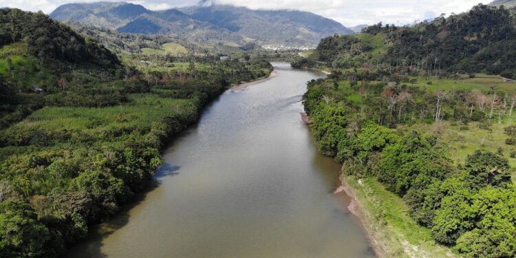 A siete años del Pacto de las Catacumbas: la histórica alianza de la Iglesia para salvar la Amazonía